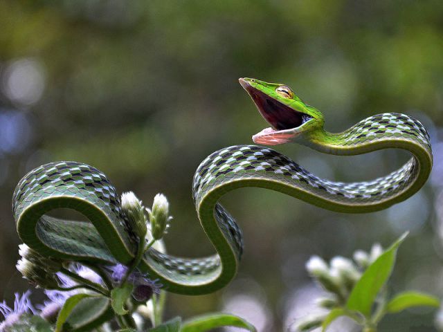 Fotografii spectaculoase facute anul acesta