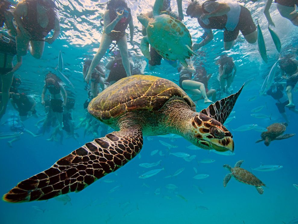 Evadare in Barbados