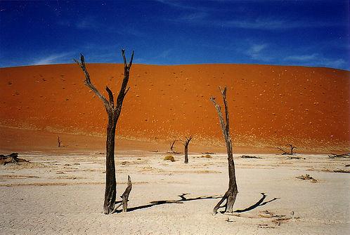 Namibia, aventura ta in desert