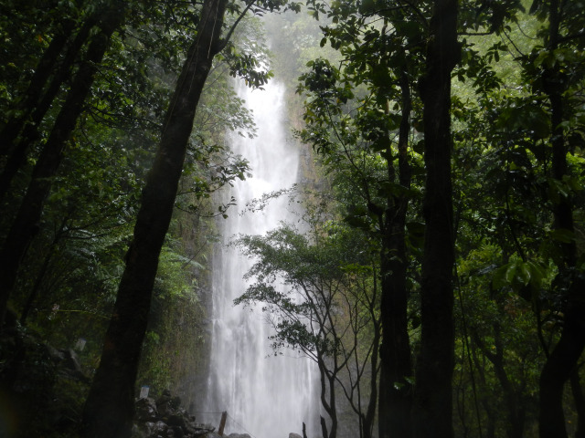 Vacanta de vis in Oahu