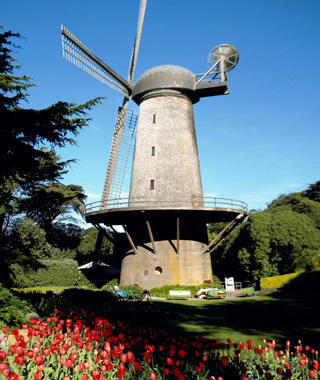 Golden gate Park