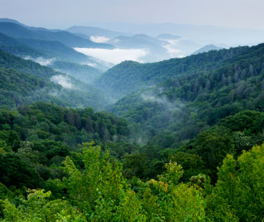 Great Smoky Mountains