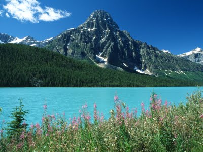 Canada, perla coastei nordului