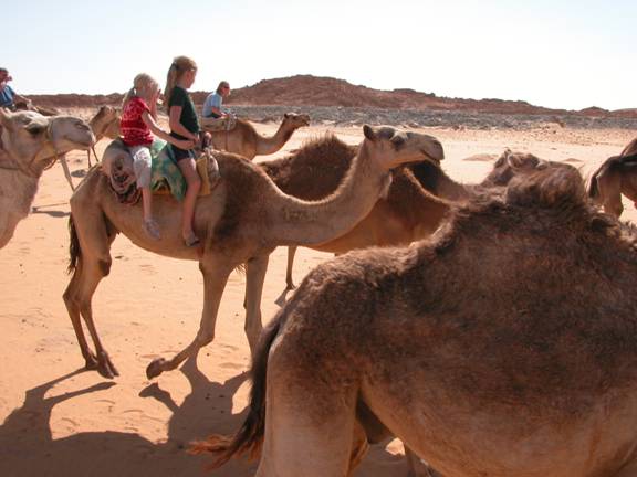 Zile de vis in Dahab