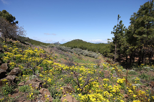 O vacanta perfecta in Gran Canaria