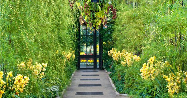 Cele mai frumoase gradini botanice din SUA