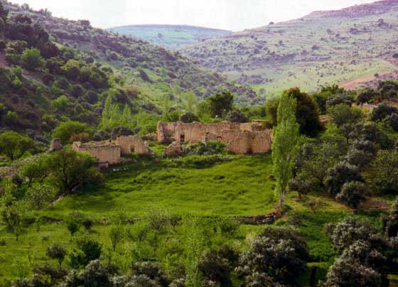 Amman, intre vechi si nou