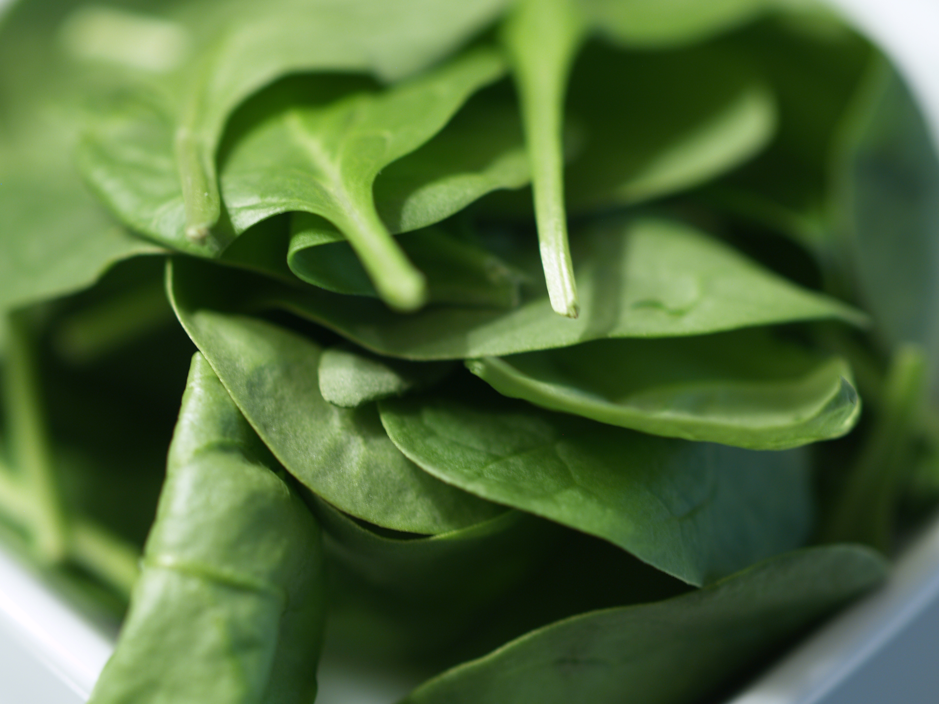 spanac Dieta vegetariana, da sau nu?