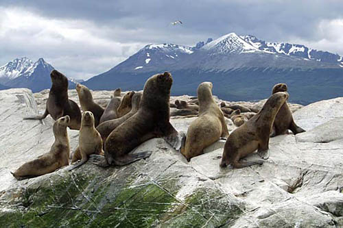 Ushuaia, vacanta la capatul lumii