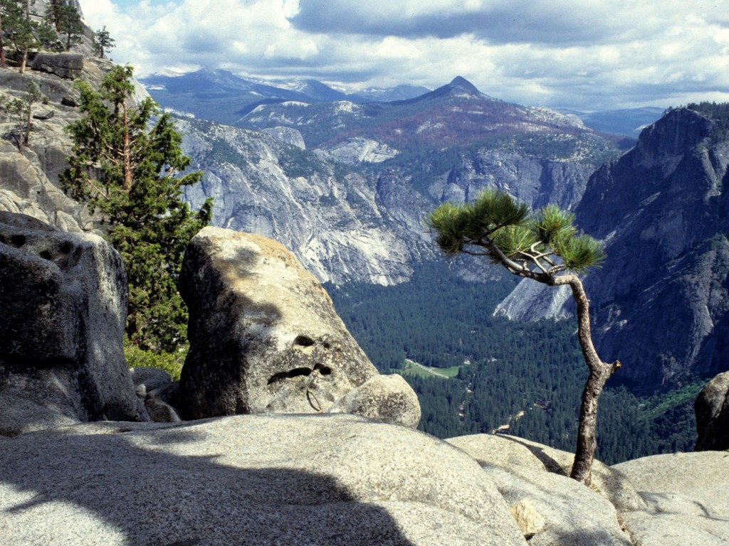 Aventura in Yosemite