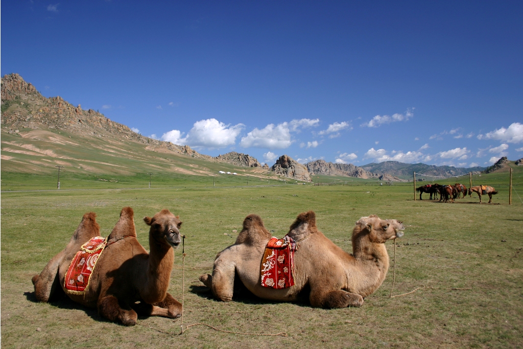 Mongolia, o alta lume