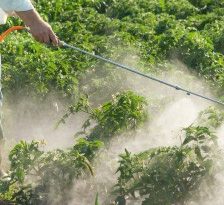 Ce trebuie sa stim despre pesticide