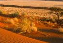 Namibia, aventura ta in desert