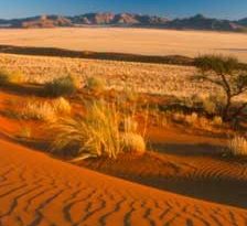 Namibia, aventura ta in desert