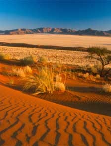 Namibia, aventura ta in desert