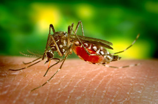 Vaccineaza-te inainte  sa pleci in strainatate
